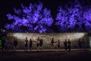Sziget-2022-elozetes-11