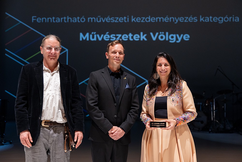 ArtIsBusiness 2025 MohaiBalazs 101