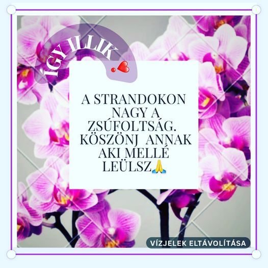 IgyIllik Strand 20220812