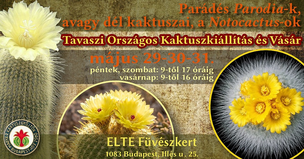 KaktuszKiallitas 202605 00