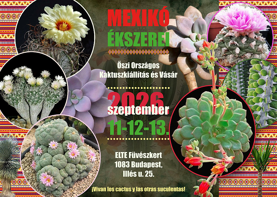 Kaktuszkiallitas 202609 000