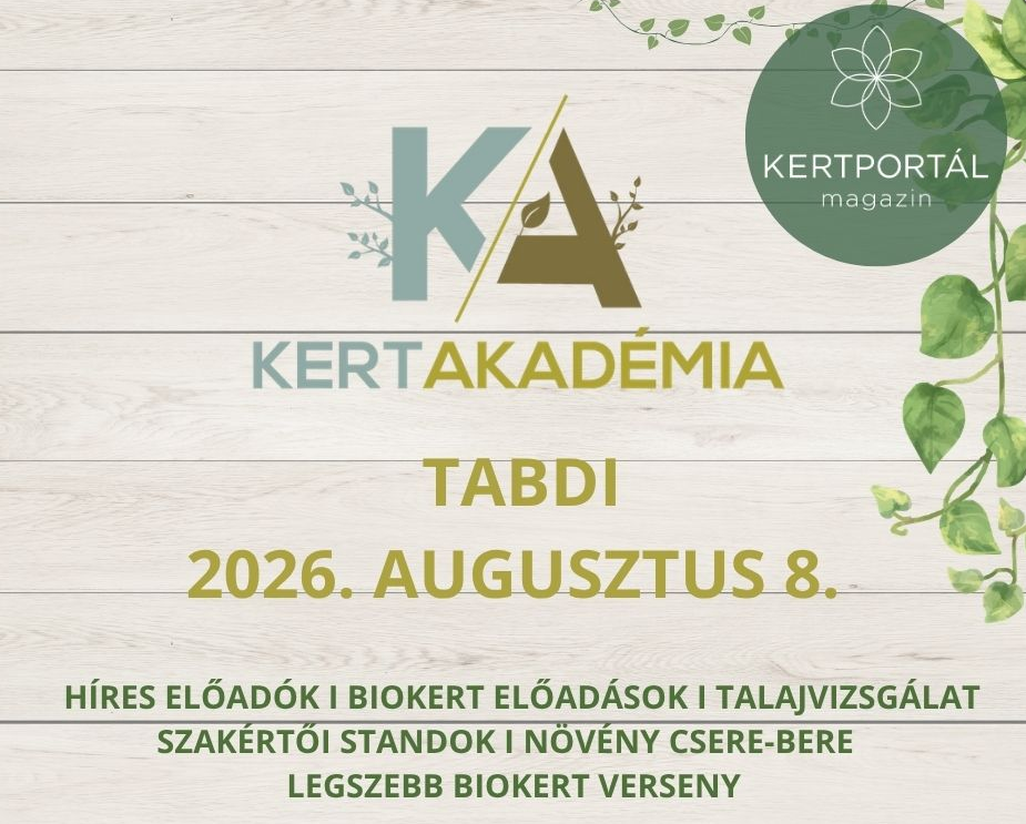 KertAkademia 202608 03