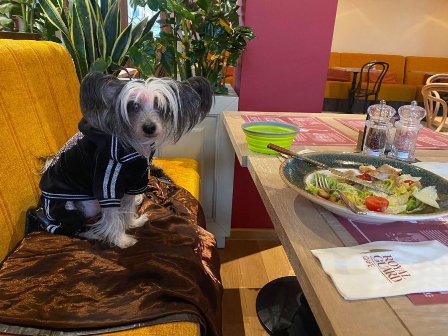 Budapest, Budai Vár - Főőrség kávéház